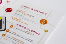 infographie-consommation-collaborative-terra-eco-4