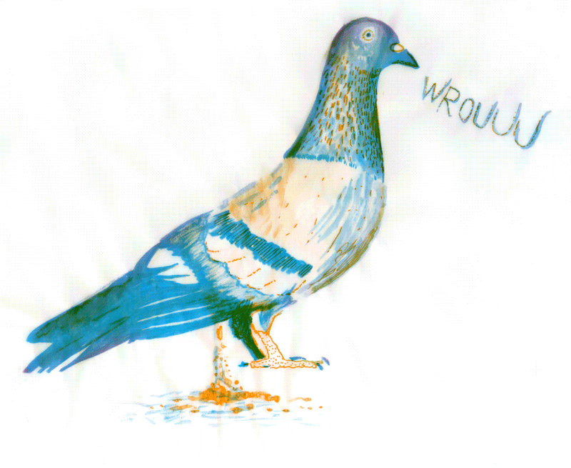 pigeon en bichromie
